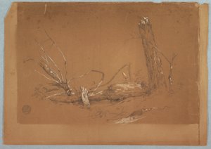Tegning, Et knækket dødt træ, 1855-65 af Frederic Edwin Church