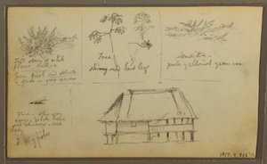 Tegning, et fort; bagside: Botaniske skitser, hus, 1857 af Frederic Edwin Church