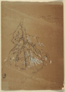Tegning, En knudret stedsegrøn, Grand Manan, Canada, august 1851 af Frederic Edwin Church