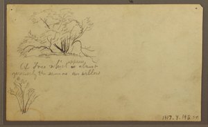 Tegning, En hytte på pæle, Guayaquil, Ecuador, maj 1857 af Frederic Edwin Church