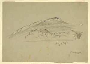 Tegning, Et træ, Bayern, 8. august 1868 af Frederic Edwin Church