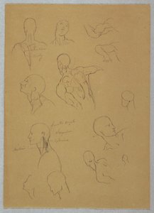 Tegning, anatomiske studier, 1865-70 af Frederic Edwin Church