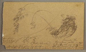 Tegning, Bambuslignende kviste, muligvis 1865-66 af Frederic Edwin Church