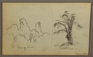 Tegning, Bireds, "Rock in Panama Bay"; bagside: "Heavy Vines", 15. maj 1857 af Frederic Edwin Church
