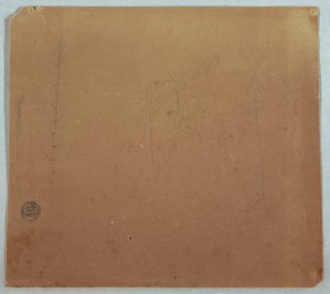 Tegning, botaniske skitser, muligvis bambus, palmer og buske, Ecuador eller Colombia, 1853 eller 1857 af Frederic Edwin Church