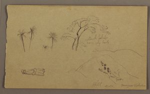 Tegning, botaniske skitser, figur, maj-august 1865 af Frederic Edwin Church