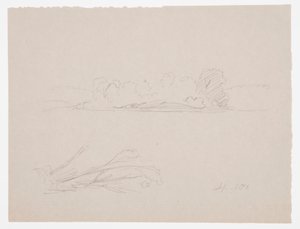 Tegning, Botaniske skitser: landskab, træer ved en strand, september 1876 af Frederic Edwin Church