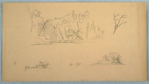 Tegning, Botaniske skitser: træ, træer ved kysten, september 1876 af Frederic Edwin Church