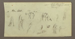 Tegning, Kamelstudier, 2. marts 1868 af Frederic Edwin Church