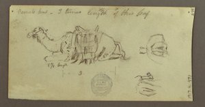 Tegning, Kamelstudier, 2. marts 1868 af Frederic Edwin Church