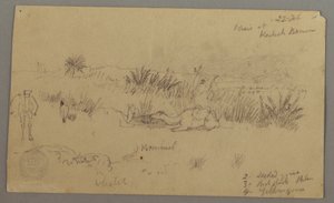 Tegning, Kameler drikker på en bakke, 22. februar, muligvis 1868 af Frederic Edwin Church