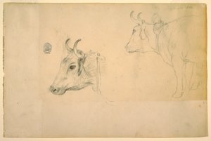 Tegning, Kvæg, september 1844 af Frederic Edwin Church