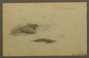 Tegning, Forfalden birk, 1844 af Frederic Edwin Church