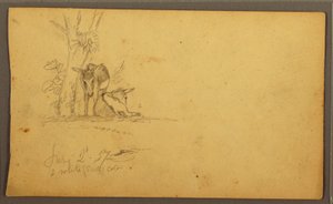 Tegning, æsler, 2. juni 1857 af Frederic Edwin Church