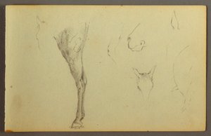 Tegning, Hestestudier, muligvis 1844 af Frederic Edwin Church