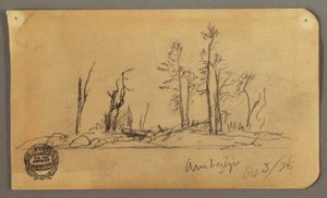 Tegning, Ø, 1878 af Frederic Edwin Church