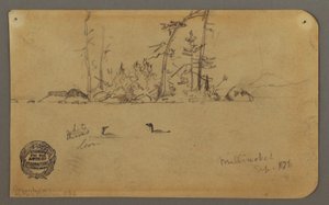 Tegning, Ø, To lomvier, 1878 af Frederic Edwin Church