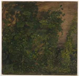 Tegning, Junglevegetation, 1865 af Frederic Edwin Church