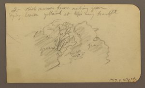 Tegning, Landskab, huse; Bagside: Trætop, februar 1885 af Frederic Edwin Church
