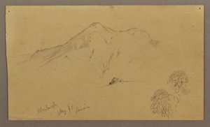 Tegning, landskab, planter, Bloxburgh, august 1865 af Frederic Edwin Church