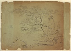 Tegning, Landskab med træer og en strøm [], Grand Manan Island, Canada, september 1851 af Frederic Edwin Church