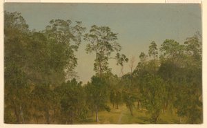 Tegning, landskaber, juli 1865 af Frederic Edwin Church