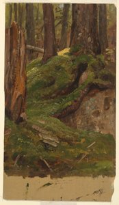 Tegning, Maine  skov, 1855-65 af Frederic Edwin Church