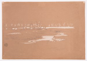 Tegning, sumpet landskab nær Millinocket, 20. september 1878 af Frederic Edwin Church