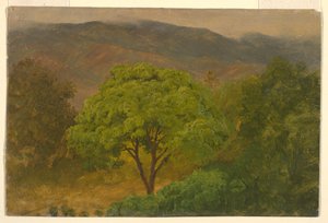 Tegning, bjerglandskab, august 1865 af Frederic Edwin Church