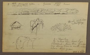 Tegning, bjergkæder "på vej ind i Guayaquil"; bagside: flodbred, botaniske skitser, muligvis 1857 af Frederic Edwin Church