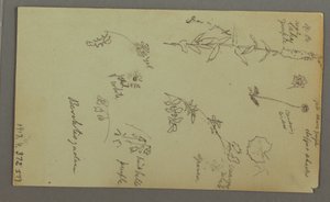Tegning, Bjergstudie, muligvis 1868 af Frederic Edwin Church