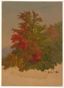 Tegning, Mt. Desert Island , Maine, oktober 1860 af Frederic Edwin Church