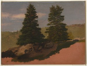 Tegning, New England-landskab (to fyrretræer), 1850 af Frederic Edwin Church