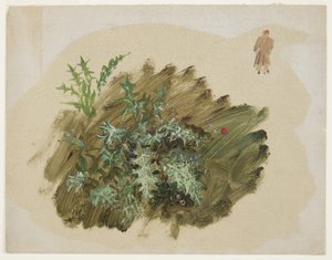 Tegning, Plantestudier, 1865 af Frederic Edwin Church