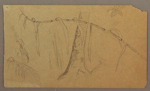 Tegning, havlandskab, 1865 af Frederic Edwin Church
