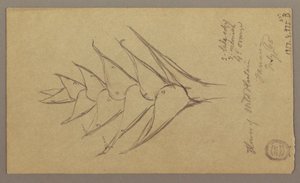 Tegning, havlandskab, 29. april 1865 af Frederic Edwin Church