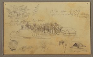 Tegning, Skitser, Ecuador eller Colombia; bagside: Skitser, Ecuador eller Colombia, 1857 af Frederic Edwin Church