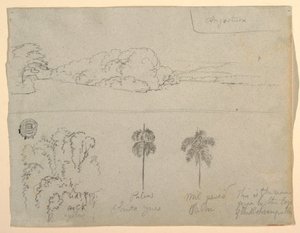 Tegning, Skitser fra Colombia:  Bredden af en flod eller bugt og træer, 1853 af Frederic Edwin Church