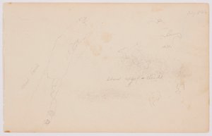 Tegning, Skitser af skyer og død birk, juli 1844 af Frederic Edwin Church