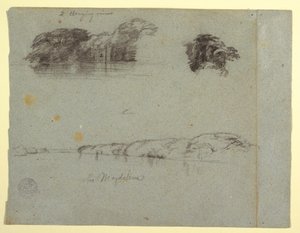 Tegning, Skitser af træer, vinstokke og en bred af Rio Magdalena, Columbia, 1853, sandsynligvis maj af Frederic Edwin Church