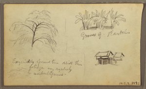 Tegning, gadehjørne i Guaquil, Ecuador; bagside: Botaniske skitser, hus, Ecuador eller Colombia, 1857 af Frederic Edwin Church