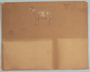 Tegning, Studier af får, Ecuador eller Colombia, 1853 af Frederic Edwin Church