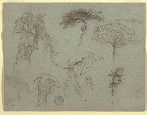 Tegning, Studier af træer, Ecuador, 1853 af Frederic Edwin Church