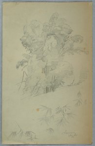 Tegning, Studier af træer og grene, Jamaica, august 1865 af Frederic Edwin Church