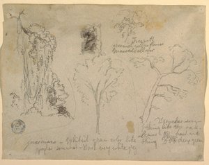Tegning, Studier af træer og planter set fra Rio Magdalena, Columbia, 1853 af Frederic Edwin Church