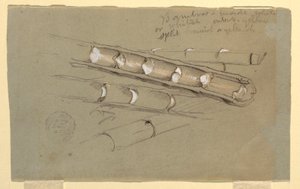 Tegning, studie af bambus, juni 1857 af Frederic Edwin Church