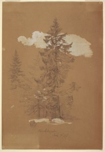 Tegning, Træer, Berchtesgaden, Bayern, 3. juli 1868 af Frederic Edwin Church