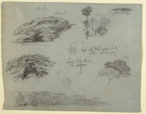 Tegning, Træer, trætoppe og en træbevokset bred, Saddleback, Maine, 1853 af Frederic Edwin Church