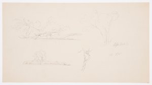 Tegning, Træer, en strand med buske og træer, september 1876 af Frederic Edwin Church