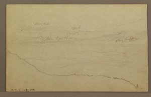 Tegning, Træer, muligvis 1860
